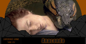 Read more about the article Anaconda