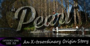 Read more about the article Pearl
