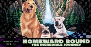 Read more about the article Homeward Bound: the Incredible Journey